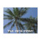 We've moved - Palm Trees on Postcard