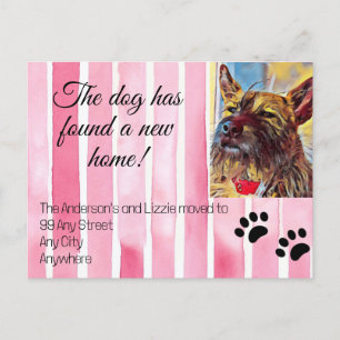 We've Moved Pet Photo New Address Notice Announcement Postcard