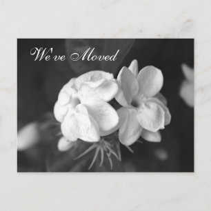 We've Moved Postcard