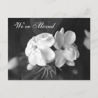 We've Moved Postcard