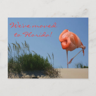 We've moved to Florida! Beach Flamingo Postcard