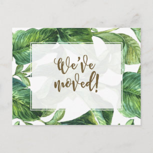 We've moved tropical palm change of address invitation postcard