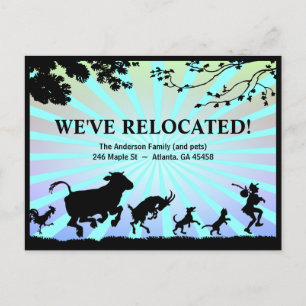 We've Relocated-Bold Colourful Moving Announcement Postcard