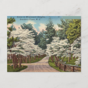 Weymouth Heights, Southern Pines, North Carolina Postcard