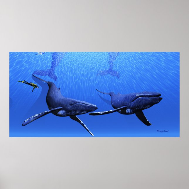 Whale 01 Print (Front)