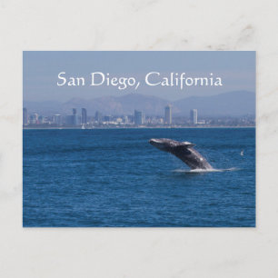 Whale and San Diego skyline Postcard