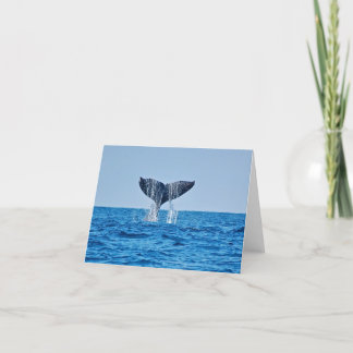 Whale Blank Note Card