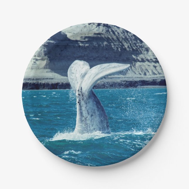 Whale calf tail - Argentina Paper Plate (Front)