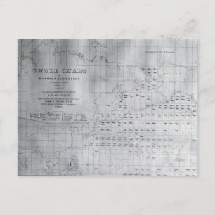 Whale Chart of the North Pacific, 1851 Postcard