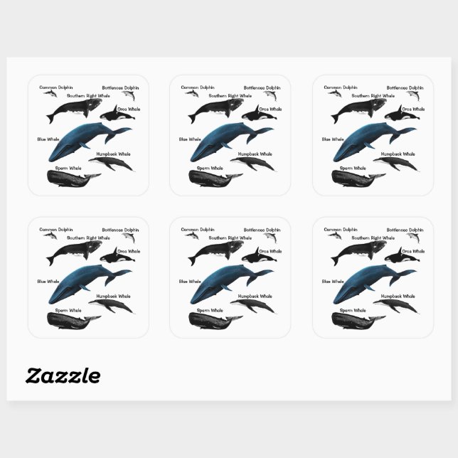 WHALE DAYS SQUARE STICKER (Sheet)