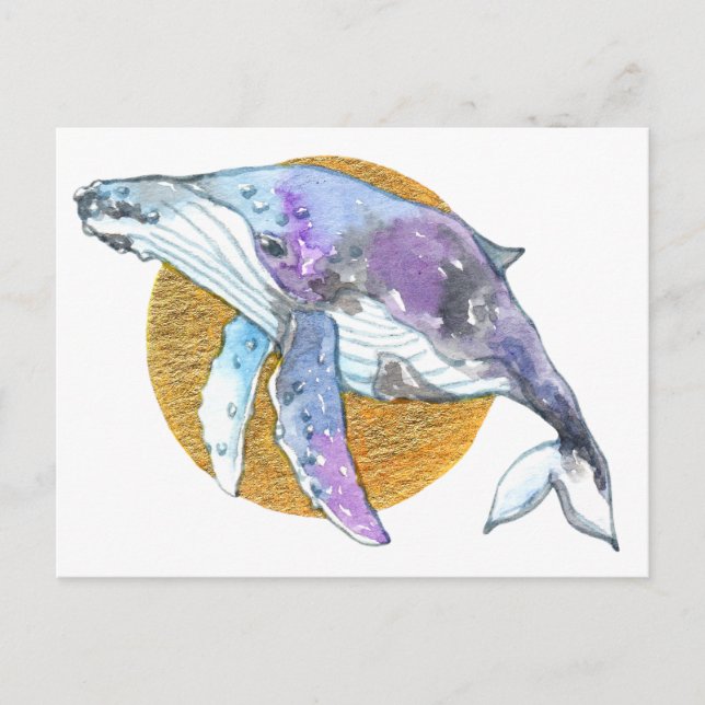 Whale Fly Postcard (Front)