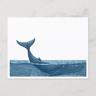 Whale in ocean postcard