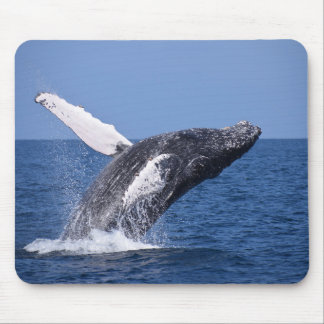 Whale Mouse Pad