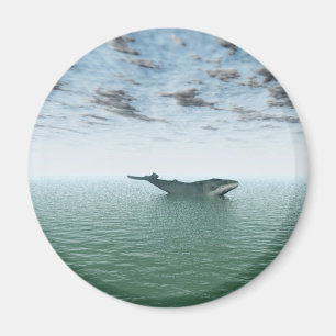 Whale on the ocean magnet