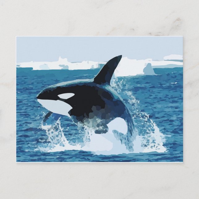 Whale Orca  Water Animal Sea Ocean Fish Peace Love Postcard (Front)