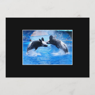 Whale Photo Invitation