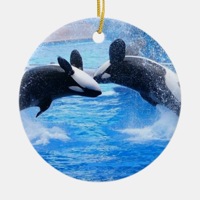 Whale Photo Ornament (Front)