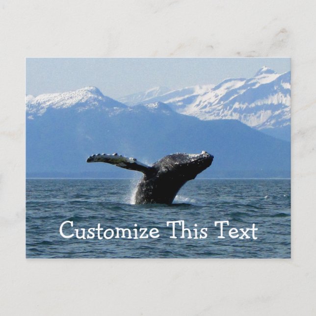 Whale Playtime; Customisable Postcard (Front)