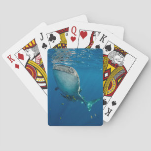 Whale Shark and Fish Playing Cards