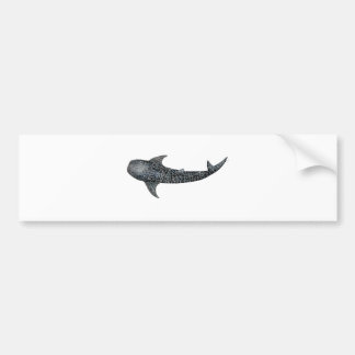 Whale shark bumper sticker