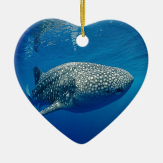 Whale Shark Ceramic Tree Decoration