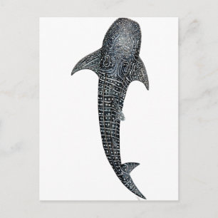 Whale shark postcard