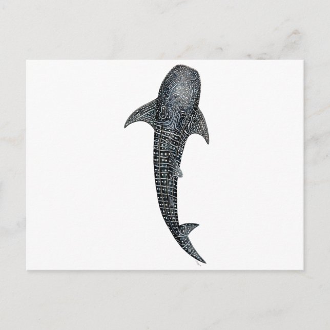 Whale shark postcard (Front)