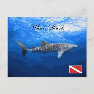 Whale Shark Postcard