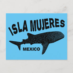 Whale Shark Scuba Diving Isla Mujeres Postcard