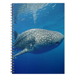 Whale Shark Spiral Notebook