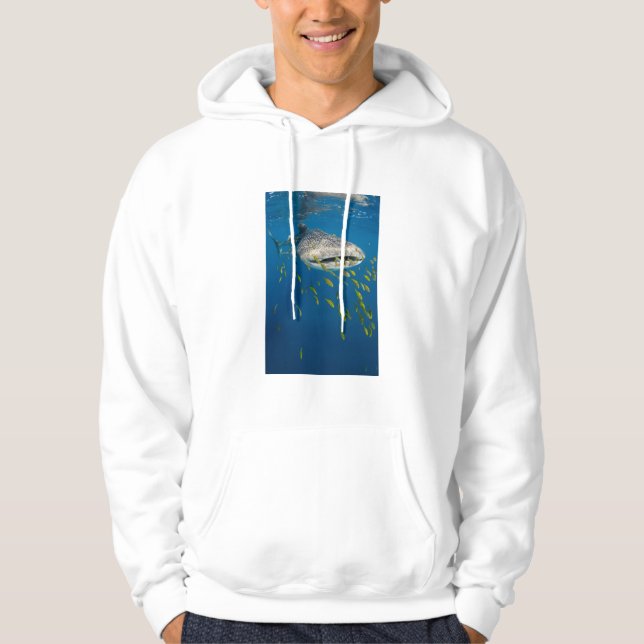 Whale Shark with fish, Indonesia Hoodie (Front)