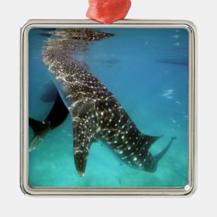 Whale sharks feeding metal tree decoration