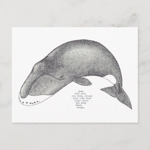 whale songs postcard