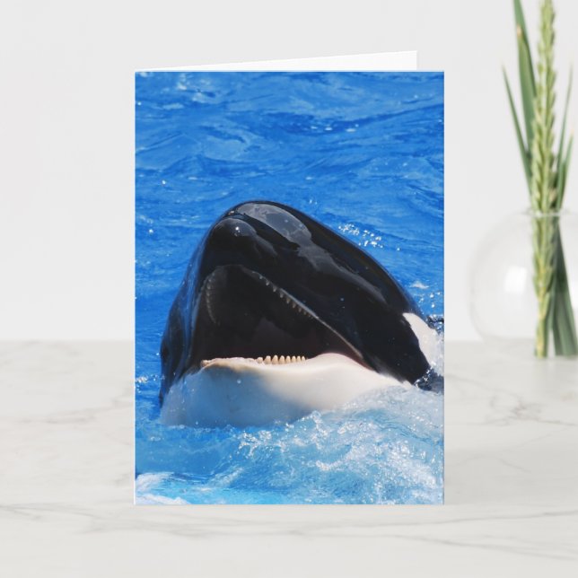 Whale Sounds Greeting Card (Front)
