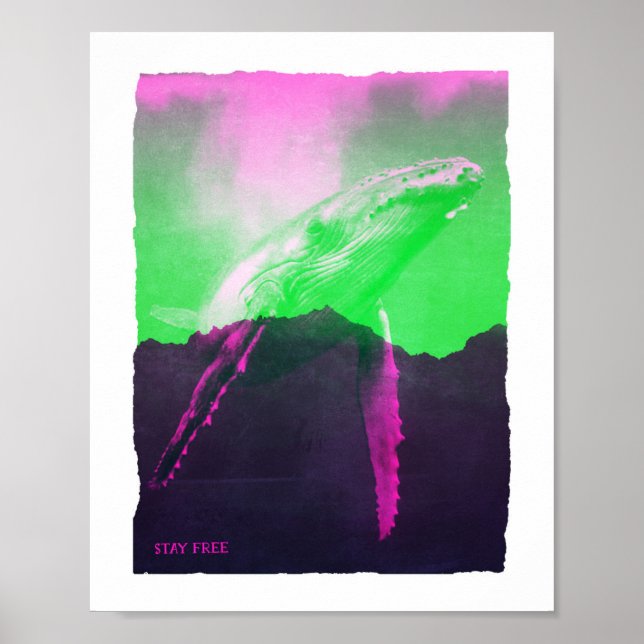 Whale Stay Free Poster (Front)