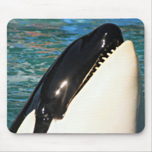 Whale Surfacing Ocean View Mouse Pad
