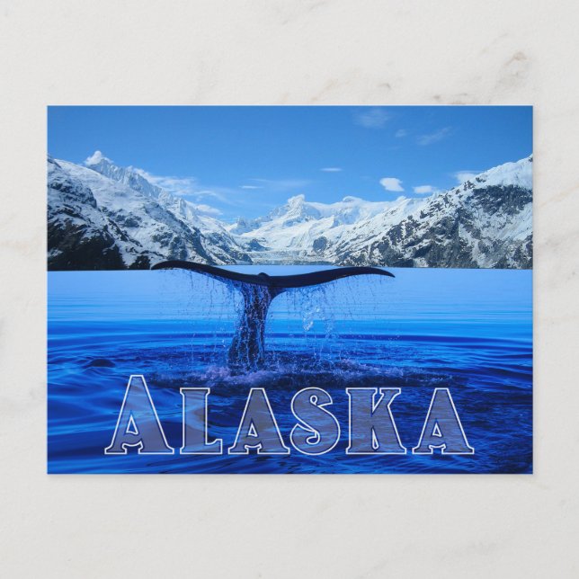 Whale Tail Alaska - Postcard (Front)