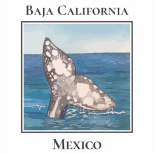 Whale Tail, Baja California, Mexico