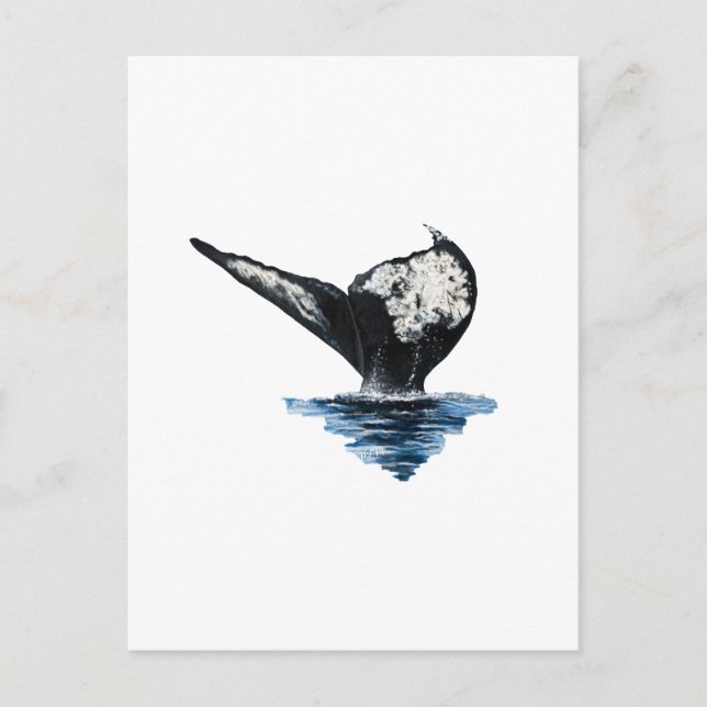 Whale Tail Postcard (Front)
