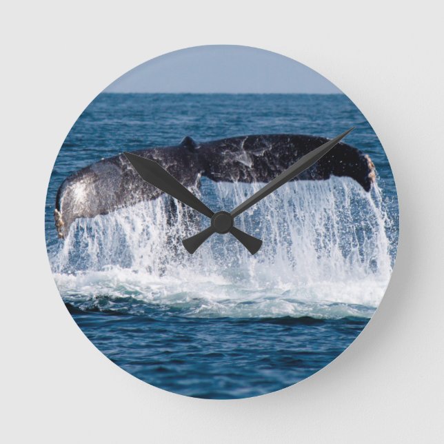 Whale Tail Round Clock (Front)