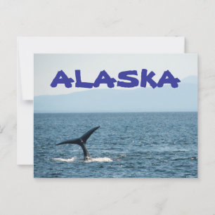 Whale Tail Scenic Alaska Postcard