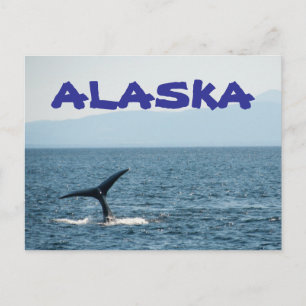 Whale Tail Scenic Alaska Postcard
