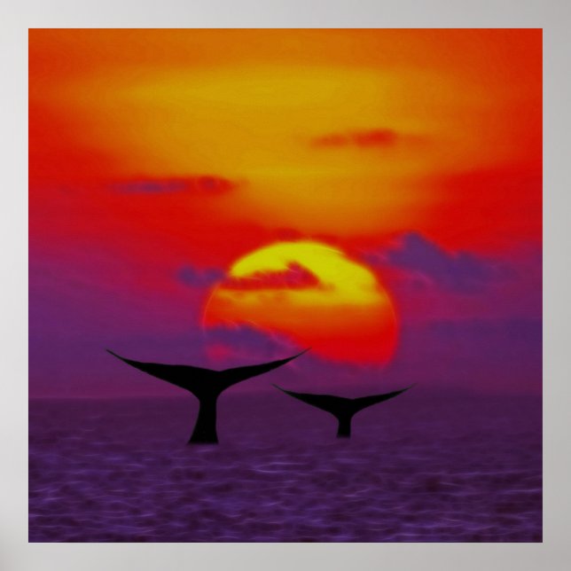 Whale tails at sunset poster (Front)