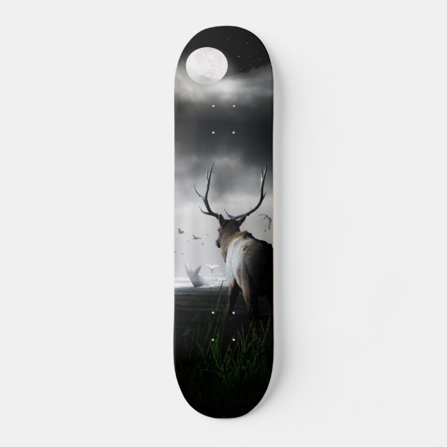 Whale Watch Skateboard (Front)