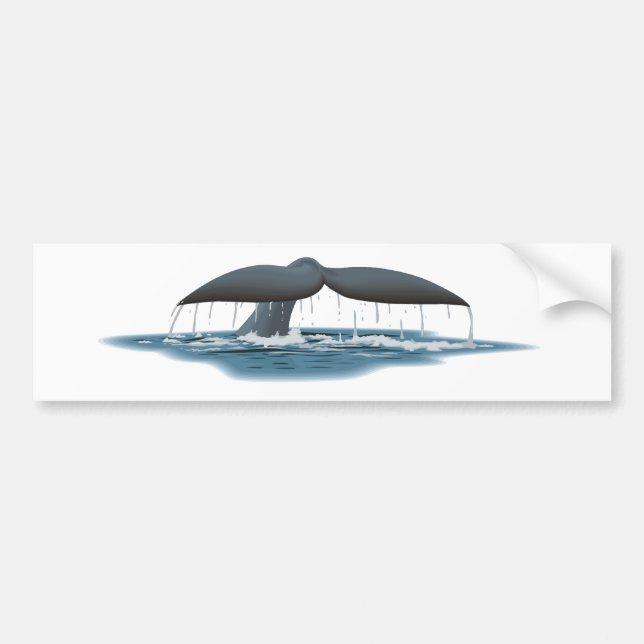 Whale Watcher Bumper Sticker (Front)