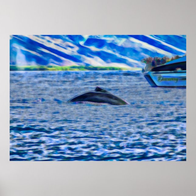 Whale Watching Boat Blue Ocean Poster (Front)