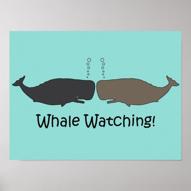 Whale Watching Fun Poster (Front)