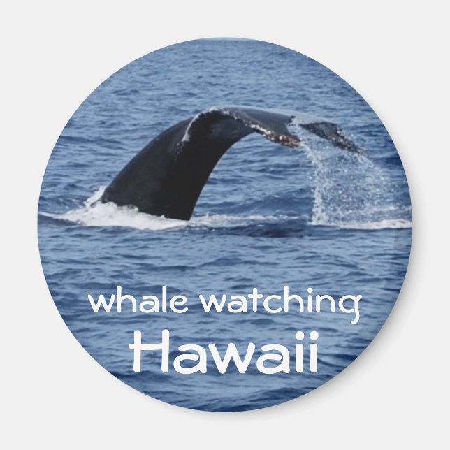 Whale Watching, Hawaii Magnet (Front)