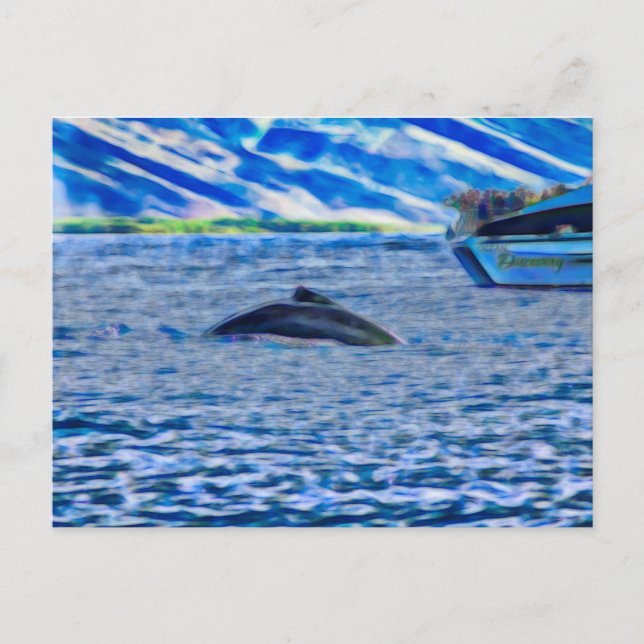 Whale Watching in Hawaii off of Maui Postcard (Front)