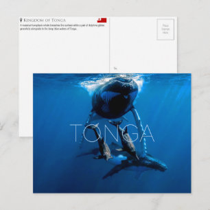 Whale watching, Tonga Travel Postcard